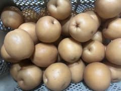 新興梨　超訳あり品　7キロ位のサムネイル