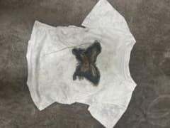 蝶々モチーフ 半袖Tシャツのサムネイル