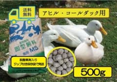 送料無料】アヒル·コールダック用飼料 MS500g オリエンタル酵母工業