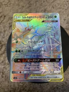 フェローチェ&マッシブーンGXのサムネイル