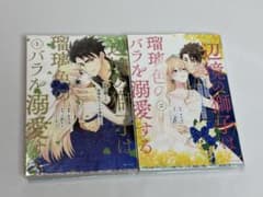 辺境の獅子は瑠璃色のバラを溺愛する 1巻 2巻 まろ乃