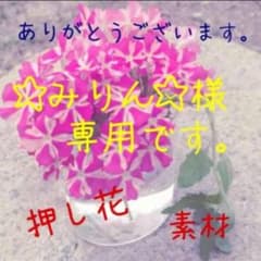 みりん様　専用です。　押し花素材のサムネイル