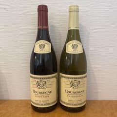 Louis Jadot ブルゴーニュ 2023 赤白2本セット Louis Jadot ブルゴーニュ 2023 赤白2本セット | Mercari