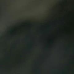 専用のサムネイル