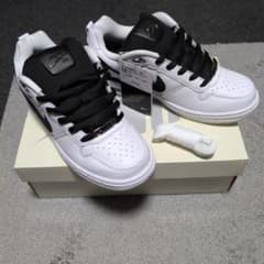 Paul Rodriguez Zoom Air Low QS 9.5のサムネイル