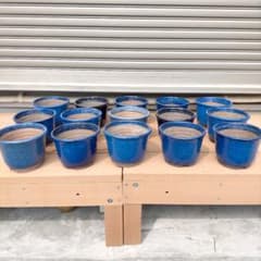 植木鉢 15個セット + 1個のサムネイル
