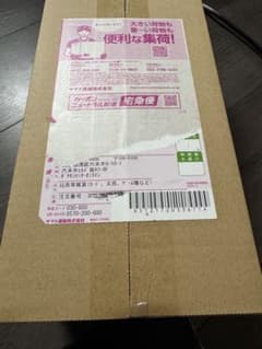スペシャルBOX ポケモンセンタートウホクのサムネイル