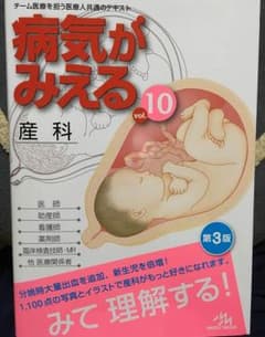 病気が見える vol.10 産科のサムネイル