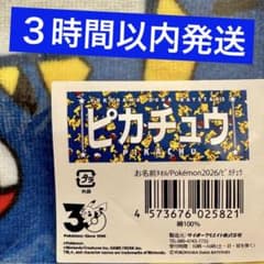 ピカチュウ ベイスターズ タオル 1点 2026 コラボ マリル - メルカリ