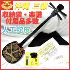 沖縄 人工蛇革 収納袋 楽譜 付属品 セット 初心者 和楽器 沖縄 人工蛇革 収納袋 楽譜 付属品 セット 初心者 和楽器 - メルカリ