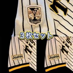 刺繍アイロンワッペン 阪神タイガース チャンピオン2025 3枚セット 金