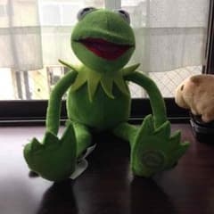 カーミット ぬいぐるみのサムネイル