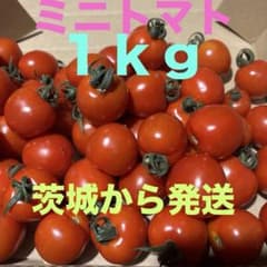 ミニトマト　１ｋｇ　コンパクトのサムネイル
