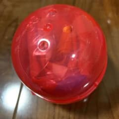 카푸바구 TinyTAN Dynamite Ver. RM