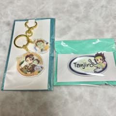 Demon Slayer: Kimetsu no Yaiba Tanjiro Acrylic Badge Set