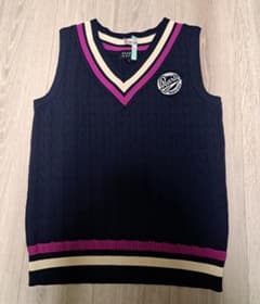 極美品】 PEARLY GATES ニットベスト ネイビー サイズ1 - メルカリ