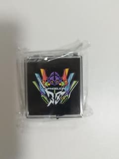 신품 미개봉 EVANGELION:30+; 에바페스 한정 30주년 핀 배치