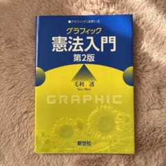 グラフィック 憲法入門のサムネイル