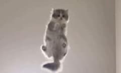 靴下のサムネイル