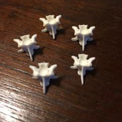ハブの骨アクセサリーパーツ お守り 金運 蛇革のサムネイル