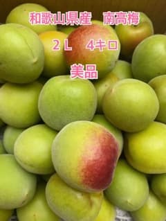 和歌山県産 南高梅 2Lサイズ 4kg 美品のサムネイル