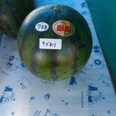 青森県産訳ありスイカ　羅皇のサムネイル