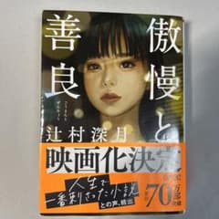 傲慢と善良　（傷あり）のサムネイル