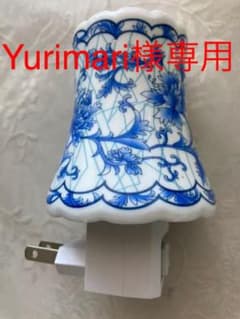 小さな点けたり消したりできる常夜灯/ A small socket lampのサムネイル