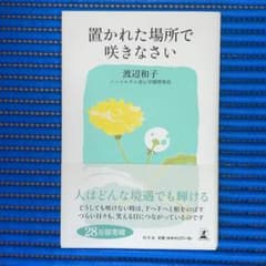 置かれた場所で咲きなさいのサムネイル