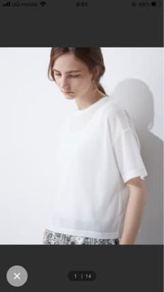 LE SOUK HOLIDAY   シアープルオーバーのサムネイル