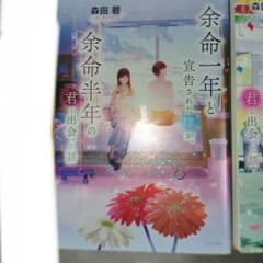 余命一年と宣告された僕が、余命半年の君と出会った話 小説のサムネイル