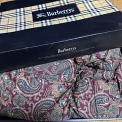 Burberrys ペイズリー柄 ダウン掛け布団 150x200 - メルカリ