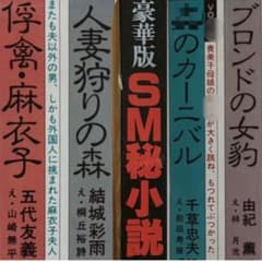 絶版】◯小説86年3月 千草忠夫 結城彩雨 前田寿按 楡畑雄二 椋陽児