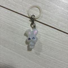 foxy illustrations めじるしアクセサリー バニーのサムネイル