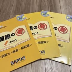 国語の要 その1 SAPIX 解答付きのサムネイル