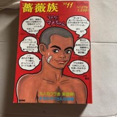 薔薇族1995年11月号のサムネイル