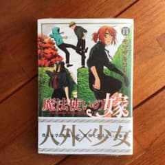 魔法使いの嫁 最新刊 11  ヤマザキコレのサムネイル