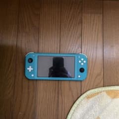 スイッチライトのサムネイル