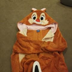 デール着ぐるみのサムネイル