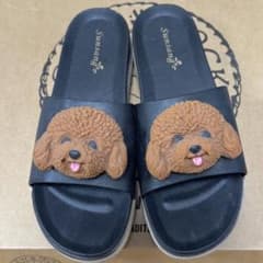 犬 プードル サンダル 雑貨 未完成 中野ロープウェイのサムネイル