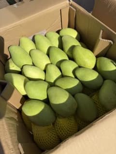 ベトナム産グリーンマンゴー約2kg(5〜9個)冷蔵発送 - メルカリ