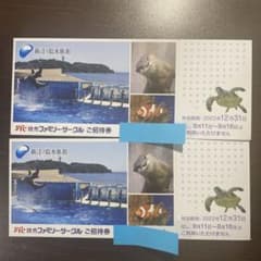 新江ノ島水族館 ご招待券 チケット2枚のサムネイル