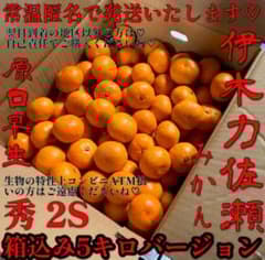 続々入荷‼️甘くて♡美味しい❤️伊木力佐瀬みかん♡原口早生♡赤秀