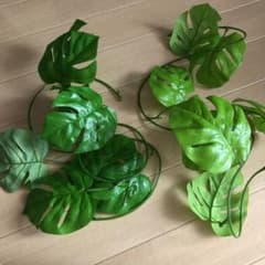モンステラ 造花 のサムネイル