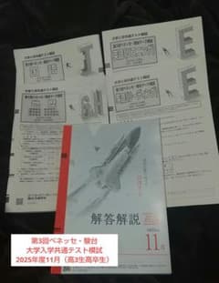 第3回ベネッセ・駿台大学入学共通テスト模試2025年度11月 - メルカリ
