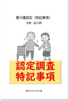 認定調査 特記事項 文例・記入例のサムネイル