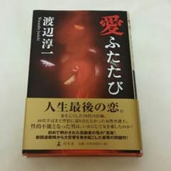 渡辺 淳一  [愛ふたたび]のサムネイル