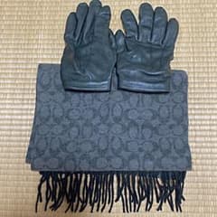美品 COACHマフラーと手袋のセットのサムネイル