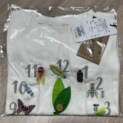 昆虫 Tシャツのサムネイル