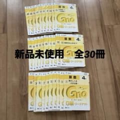 グノーブル　ワークアウト　新品　4年のサムネイル